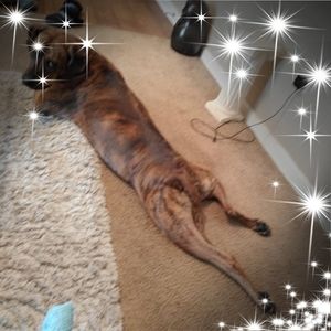 Meet your Posher, Gayle